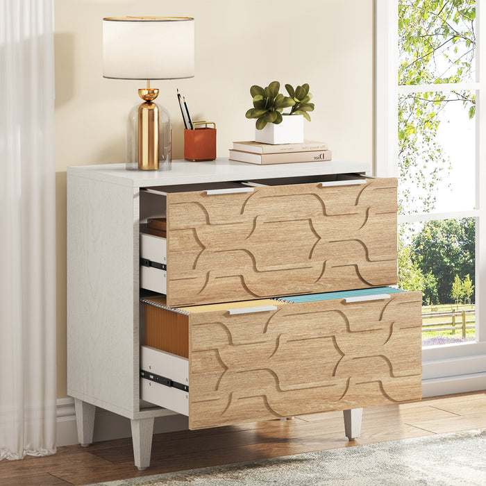 Wood File Cabinet, 2-Drawer Storage Cabinet for A4/Letter/Legal Size Tribesigns